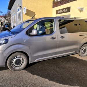 Hagusy Peugeot Traveller
